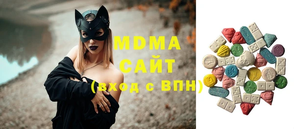 индика Беломорск