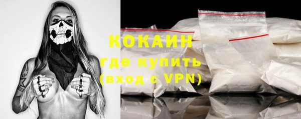 индика Беломорск