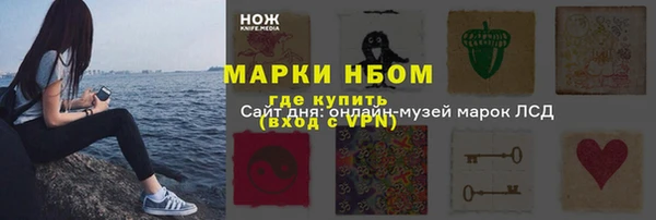 индика Беломорск