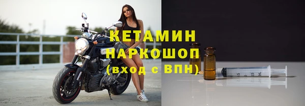 индика Беломорск