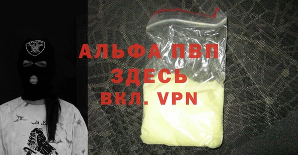 индика Беломорск