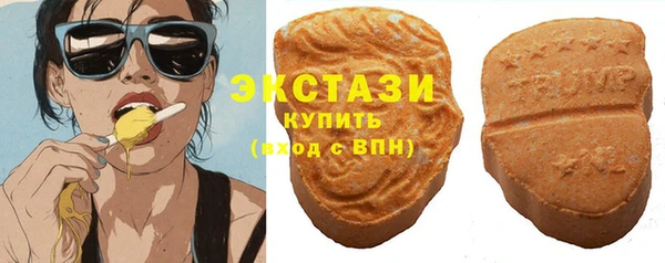 индика Беломорск