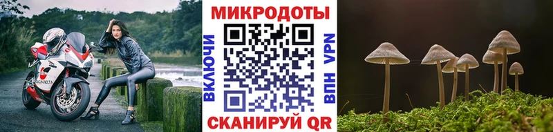 Псилоцибиновые грибы мухоморы  Емва 